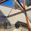 오페라주유소 이미지