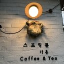 스프링폴스튜디오 이미지