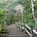 백석생활체육공원 축구장 이미지