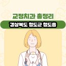 경상북도 청도군 청도읍 교정치과 총정리