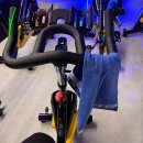 헬스인더짐 이미지