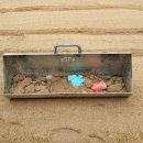 현북초등학교 이미지