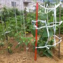 광진정보도서관 이미지