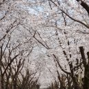 삼보렌탈산업 이미지