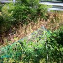 능암주유소 이미지