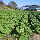 칠갑산도림휴게소캠핑장 이미지