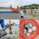 푸른바다찜탕 금천점 | 남해갯벌체험 금천갯벌체험장 바지락 쏙 잡이 후기