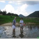 구송정 유원지 이미지