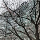 수원-1013 이미지