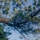 청주백제유물전시관 이미지