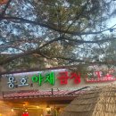 호야채