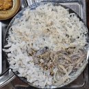 오케이제주대패김해뒷고기 | 시청 연산동 오징어회 해산물 찐맛집 내돈내산 후기 #부산시청술집 #부산시청횟집 #부산시청해물 #부산해물