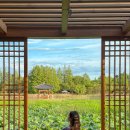 연꽃도서관 | 전주 가볼만한곳 추천｜덕진공원 연꽃 뷰 포토스팟 후기