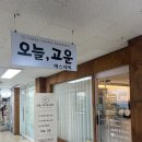 안산 백운동 여드름관리 압출 트로이필 오늘,고운에스테틱