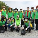 상록마을길 이미지