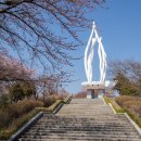 군산시-00001 이미지