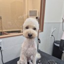 멍친 이미지