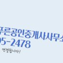 늘푸른공인중개사사무소 이미지