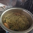 벌떡새우 이미지