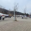 고모야채