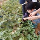 포시즌농장 이미지