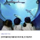 아쿠아플라넷 제주 이미지