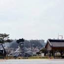 풍경버스 | 안동 당일치기 벚꽃축제 : 풍경있는여행 버스투어 후기