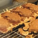 양양군민약국 이미지