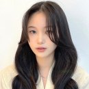 포레스트S