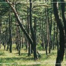 연세나루정신건강의학과의원 이미지