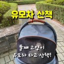 고양이투어 이미지