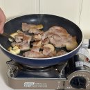 바이탈플랜트 롤팬 내돈내산 솔직후기