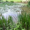 달그림자공원 이미지