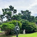 빛중앙14로 | 국립현대미술관 과천관 40주년 프로젝트 <빛의 상상들>에 다녀왔어요 경기도전시회후기