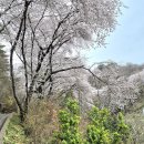 월명1길 이미지