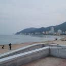 돼지삼촌 이미지