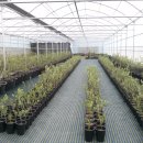 지재농장 이미지