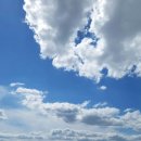 서원구청 대회의실 이미지