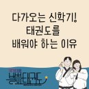 별하 태권도장 이미지