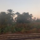 오벨리스크 이미지