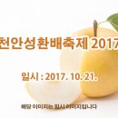 천안성환배축제 2017 이미지