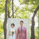 스튜디오다움