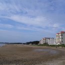 청포대 별주부 이미지