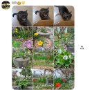 로뎀의커피랩 | 2026-07 | 사랑에는 거짓이 없습니다
