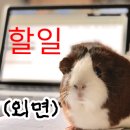 장원숯불갈비 이미지
