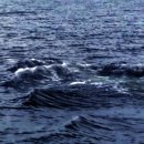 중앙수중개발 이미지