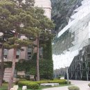 북악산(춘추관뒷길~청와대전망대~청운대~창의문까지)~(2022년6월5일)