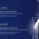 1에스티(1st) 네이버블로그
