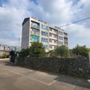 대정읍사무소 이미지