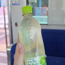 미니케이크샵 minicake.shop(작은케이크가게) | (2025) 마쓰야마 여행 2일차 • 멘야 신쿠라 · Cafe Onze11